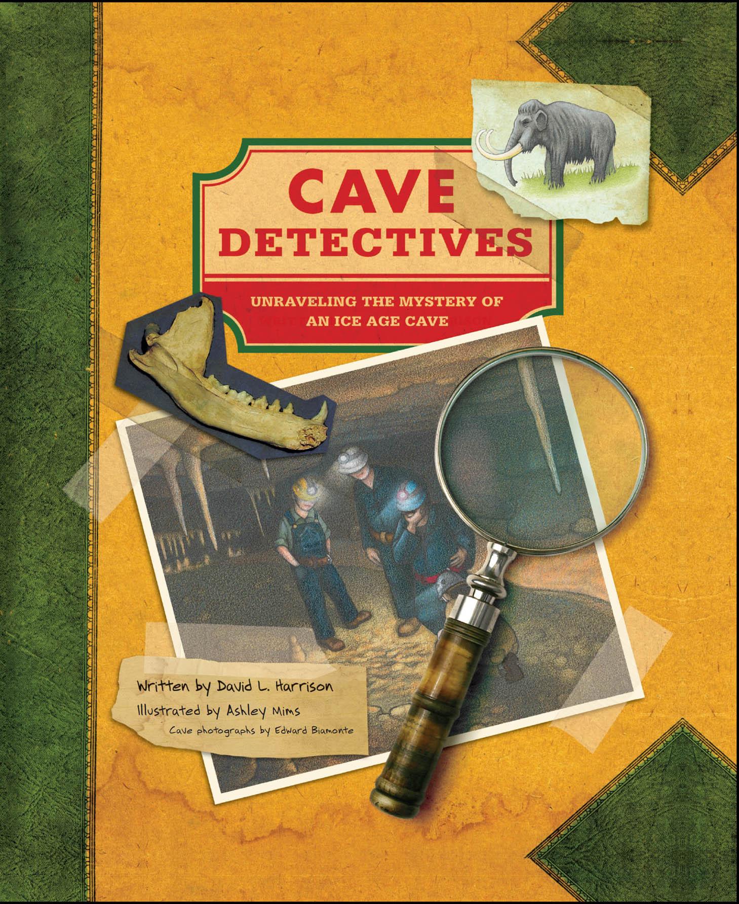 Cave Detectives