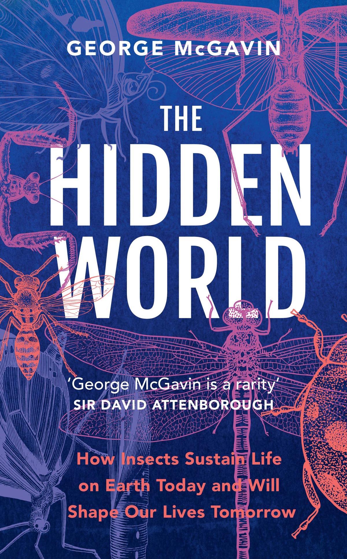 The Hidden World