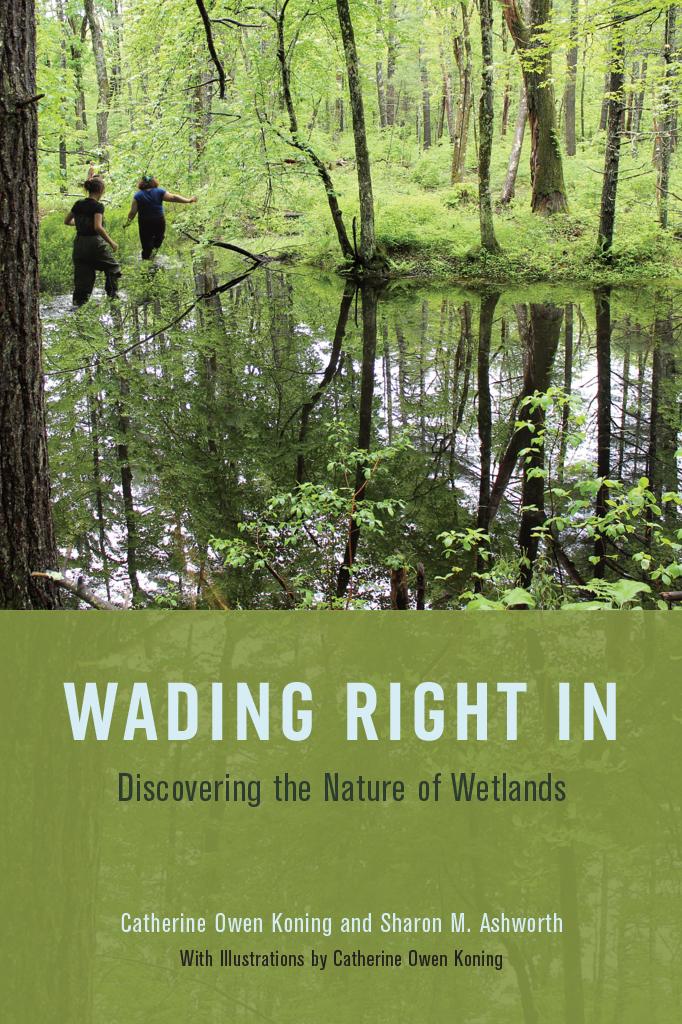 Wading Right In