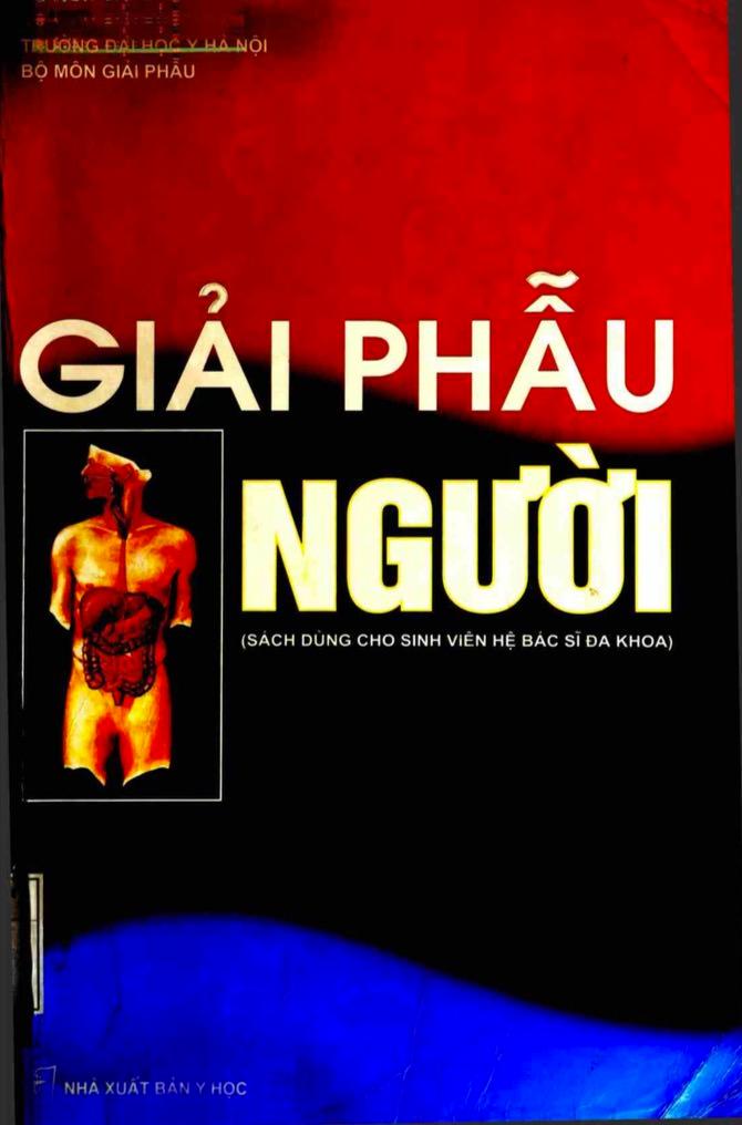 Giải Phẫu Người (Sách Đào Tạo Bác Sĩ Đa Khoa)