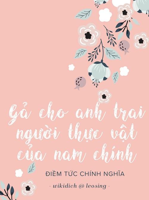 Gả Cho Anh Trai Người Thực Vật Của Nam Chính