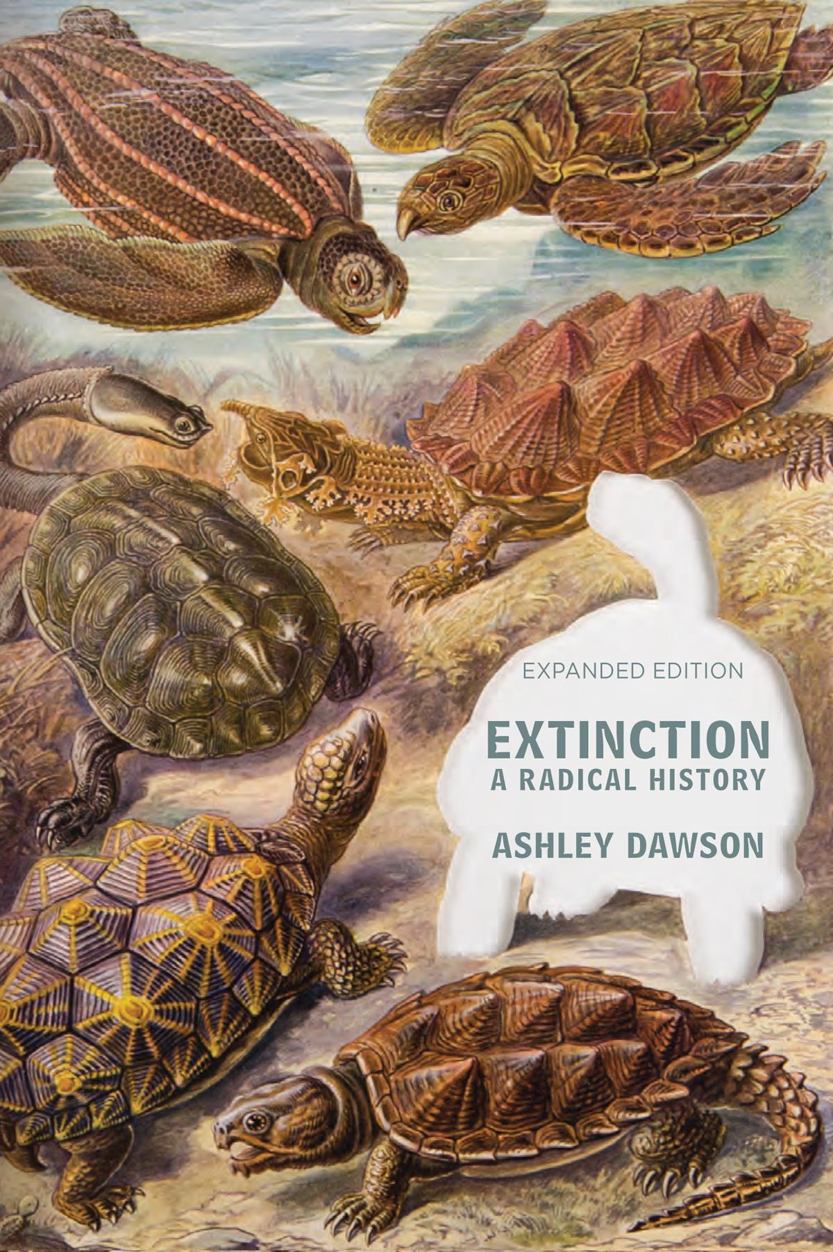 Extinction