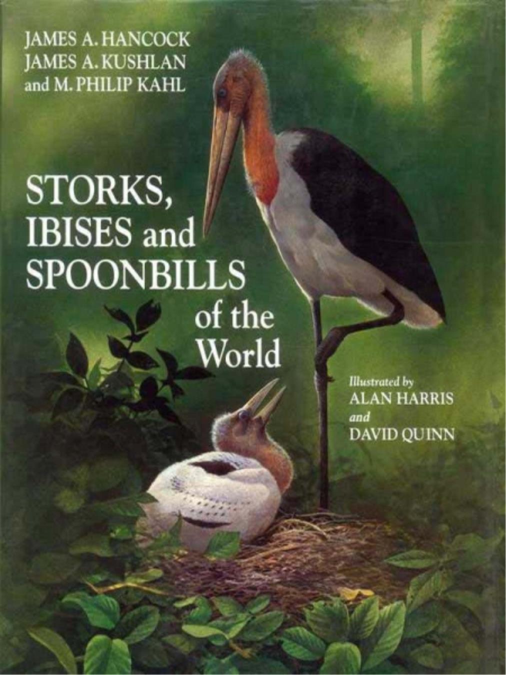 Storks, Ibises and Spoonbills of the World