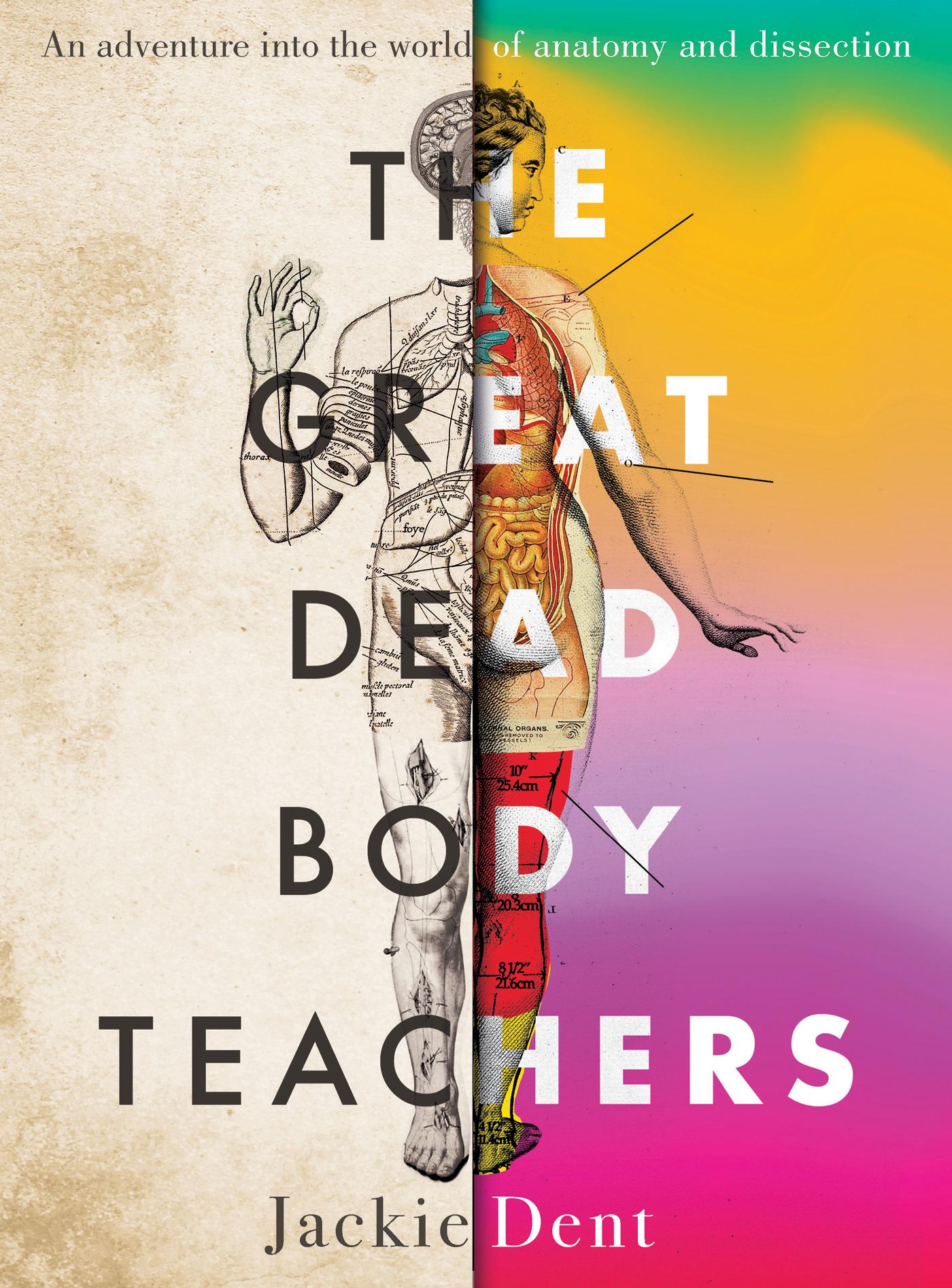 The Great Dead Body Teachers: an adventure into the world of anatomy and dissection