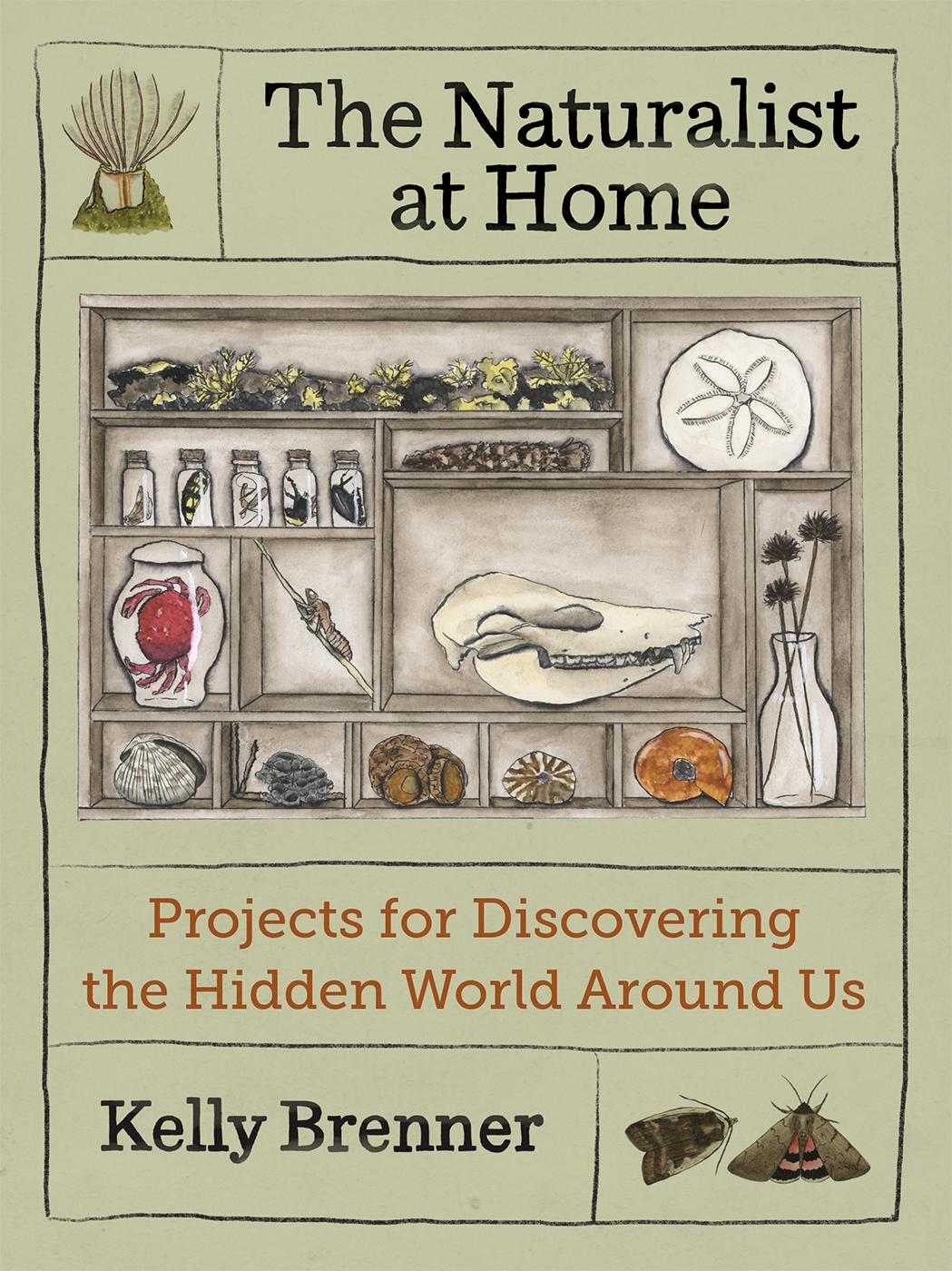 The Naturalist at Home